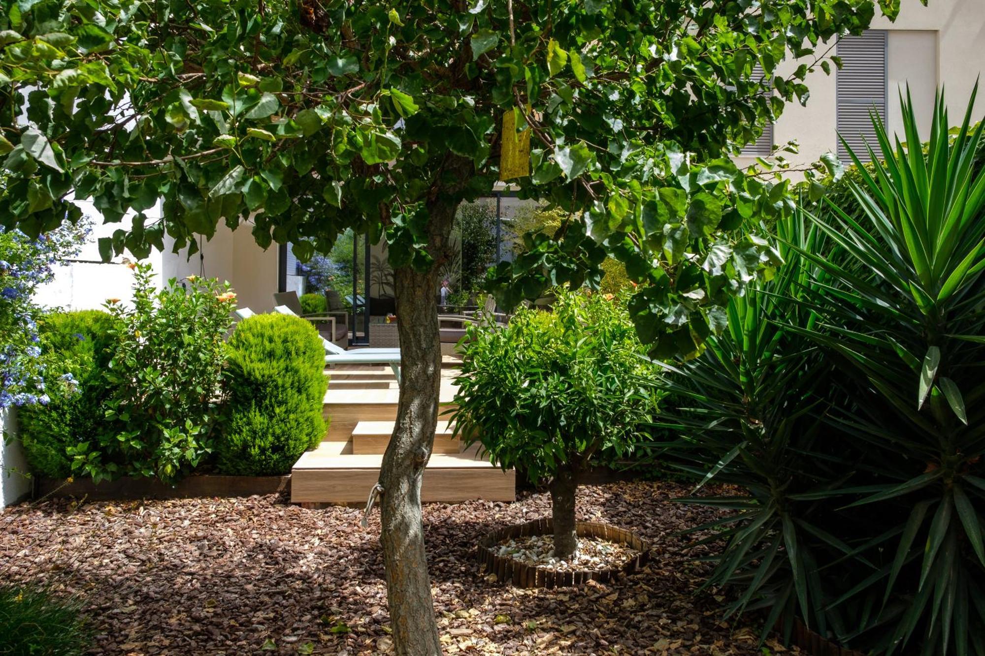 Pretty House Sa Font In Santa Catalina Palma City ภายนอก รูปภาพ