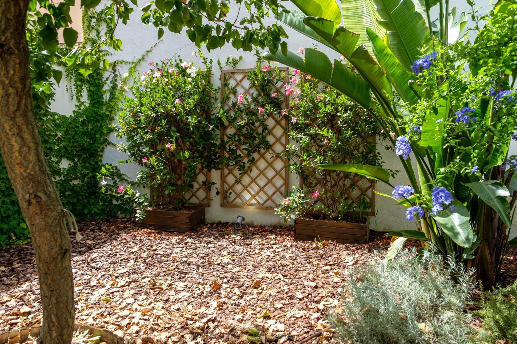 Pretty House Sa Font In Santa Catalina Palma City ภายนอก รูปภาพ