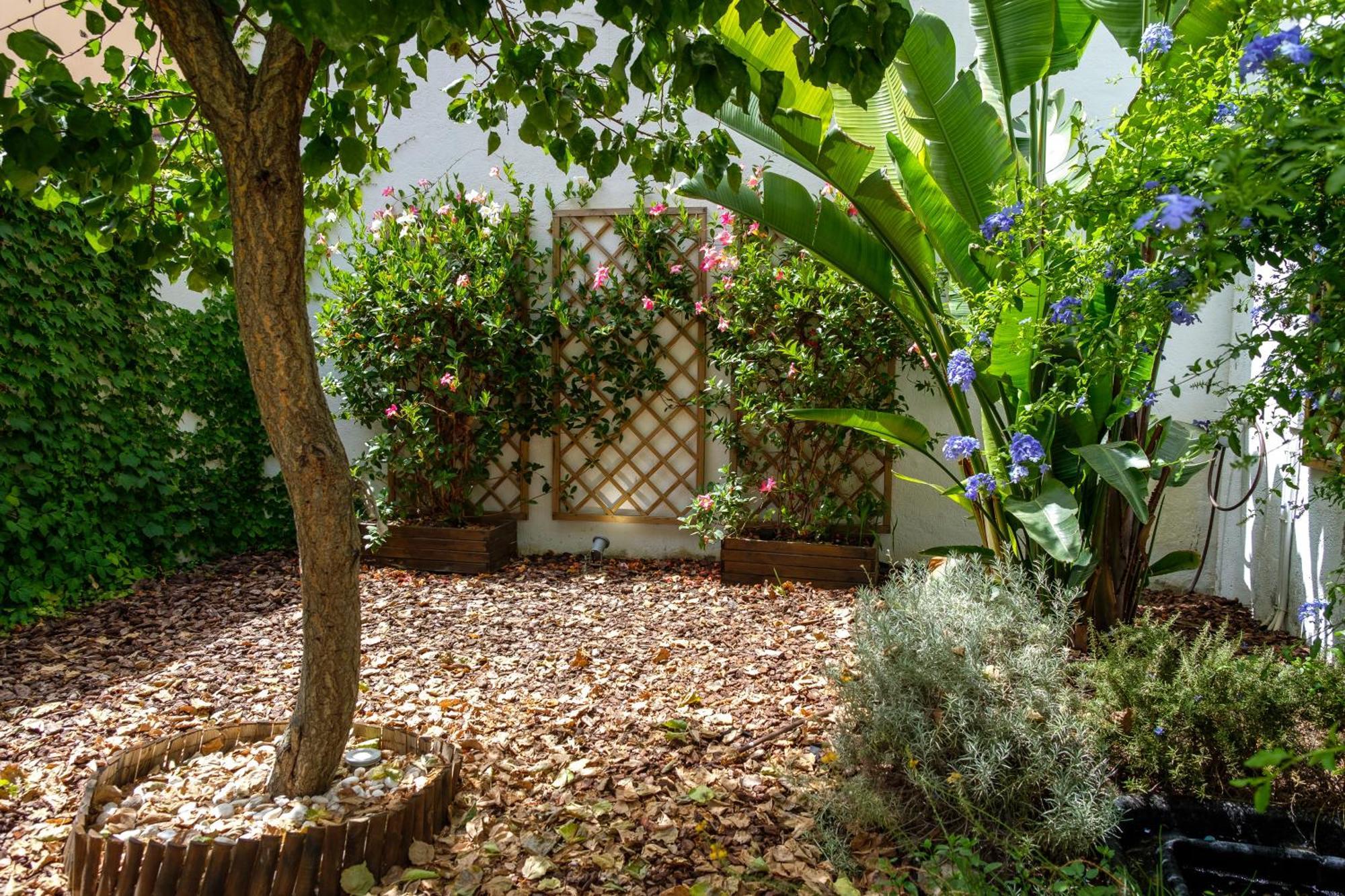 Pretty House Sa Font In Santa Catalina Palma City ภายนอก รูปภาพ